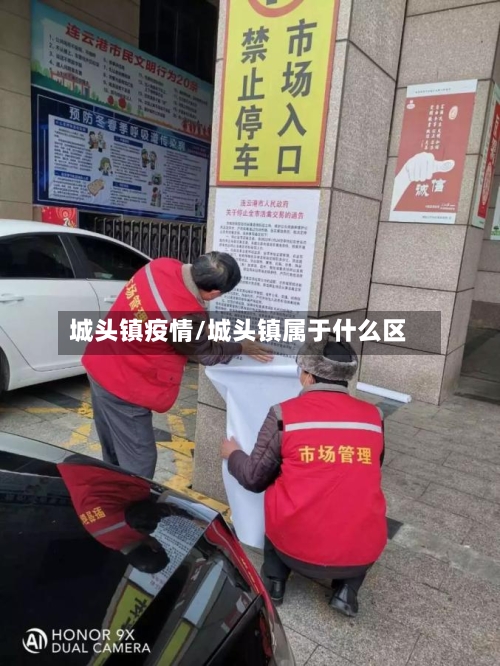 城头镇疫情/城头镇属于什么区-第2张图片