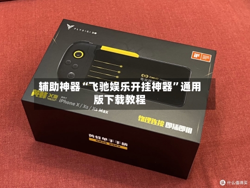 辅助神器“飞驰娱乐开挂神器	”通用版下载教程-第2张图片