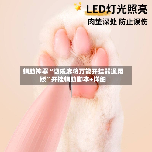 辅助神器“微乐麻将万能开挂器通用版”开挂辅助脚本+详细-第1张图片