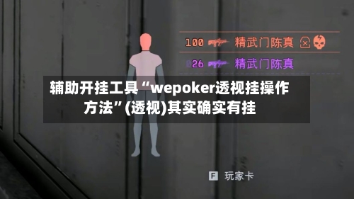 辅助开挂工具“wepoker透视挂操作方法”(透视)其实确实有挂-第3张图片