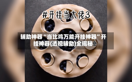 辅助神器“当比鸡万能开挂神器	”开挂神器{透视辅助}全揭秘-第2张图片