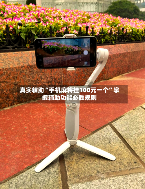 真实辅助“手机麻将挂100元一个”掌握辅助功能必胜规则