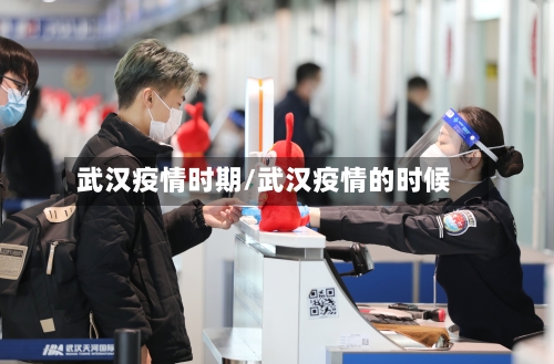 武汉疫情时期/武汉疫情的时候