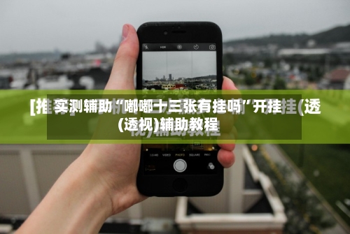 实测辅助“嘟嘟十三张有挂吗”开挂(透视)辅助教程-第1张图片