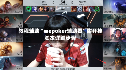 教程辅助“wepoker辅助器”附开挂脚本详细步骤