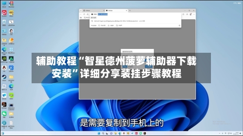 辅助教程“智星德州菠萝辅助器下载安装”详细分享装挂步骤教程-第3张图片