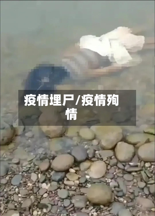 疫情埋尸/疫情殉情-第3张图片