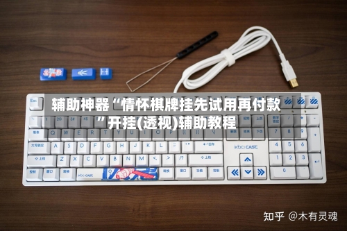 辅助神器“情怀棋牌挂先试用再付款”开挂(透视)辅助教程-第2张图片