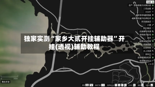 独家实测“家乡大贰开挂辅助器”开挂(透视)辅助教程-第2张图片