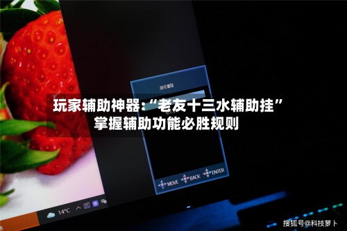 玩家辅助神器:“老友十三水辅助挂”掌握辅助功能必胜规则-第2张图片