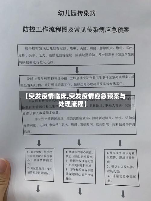 【突发疫情临床,突发疫情应急预案与处理流程】-第2张图片