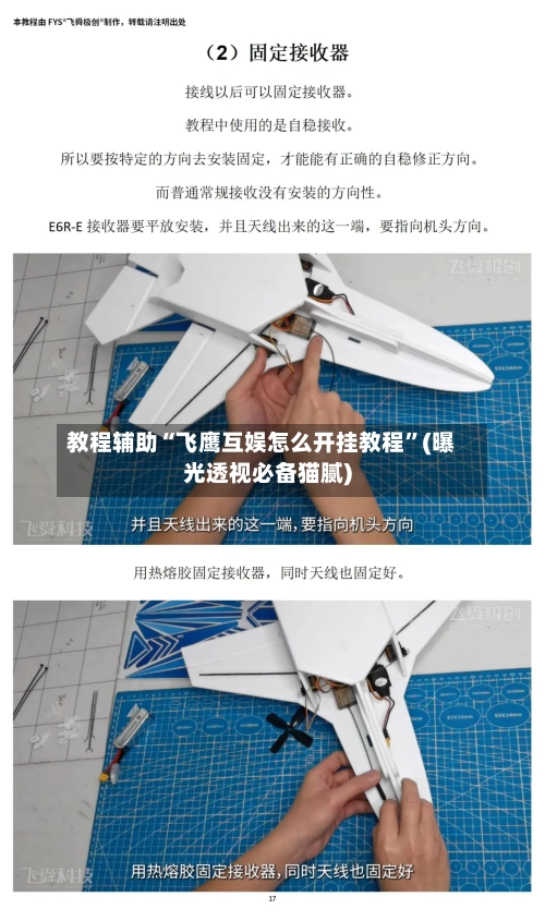 教程辅助“飞鹰互娱怎么开挂教程”(曝光透视必备猫腻)-第2张图片