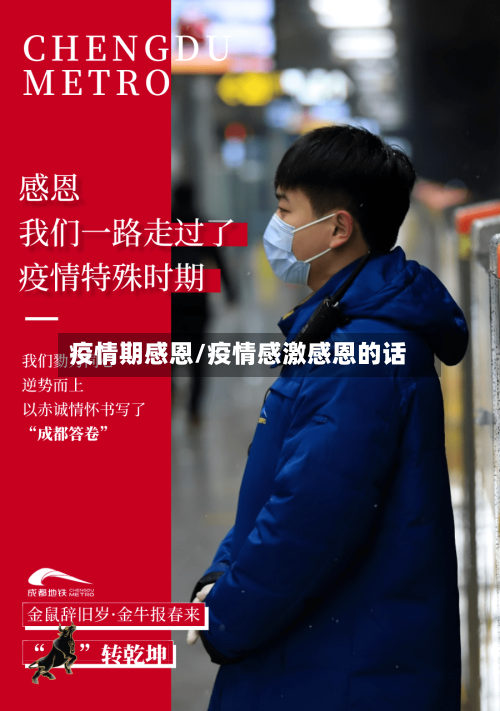 疫情期感恩/疫情感激感恩的话-第2张图片