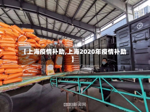 【上海疫情补助,上海2020年疫情补助】