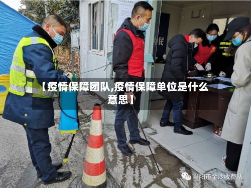 【疫情保障团队,疫情保障单位是什么意思】-第2张图片