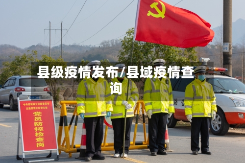 县级疫情发布/县域疫情查询