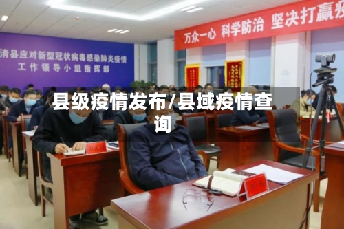 县级疫情发布/县域疫情查询-第3张图片