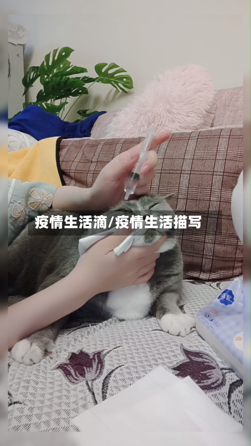 疫情生活滴/疫情生活描写-第2张图片