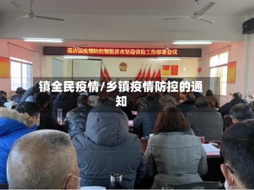 镇全民疫情/乡镇疫情防控的通知