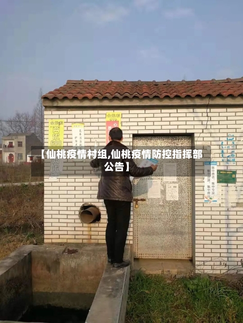 【仙桃疫情村组,仙桃疫情防控指挥部公告】-第1张图片