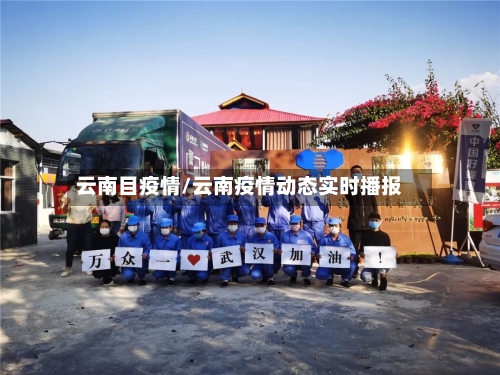 云南目疫情/云南疫情动态实时播报-第2张图片