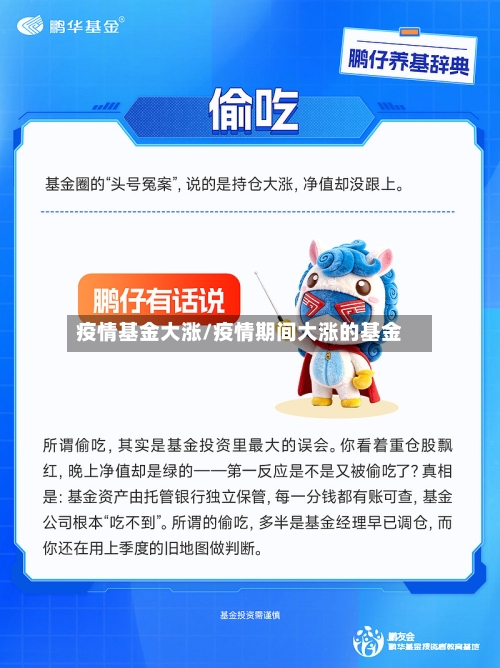 疫情基金大涨/疫情期间大涨的基金-第1张图片