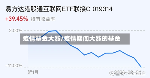 疫情基金大涨/疫情期间大涨的基金-第2张图片