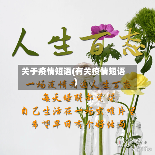 关于疫情短语(有关疫情短语)-第2张图片