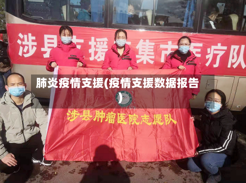 肺炎疫情支援(疫情支援数据报告)-第1张图片