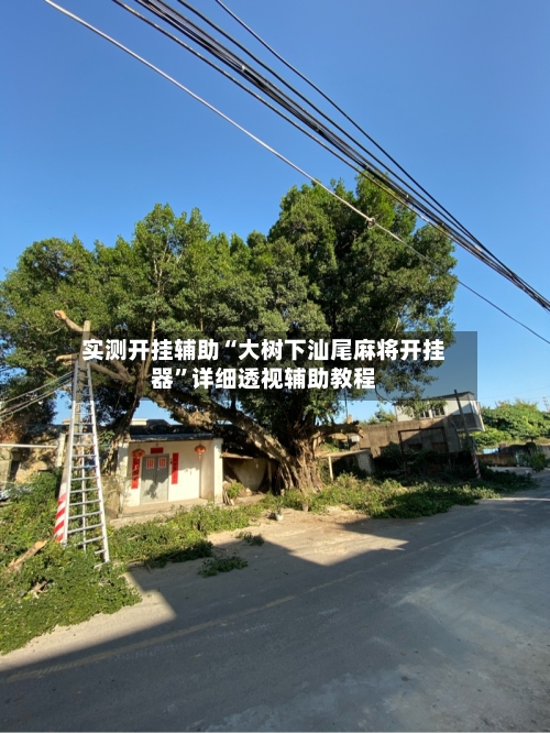 实测开挂辅助“大树下汕尾麻将开挂器”详细透视辅助教程-第3张图片