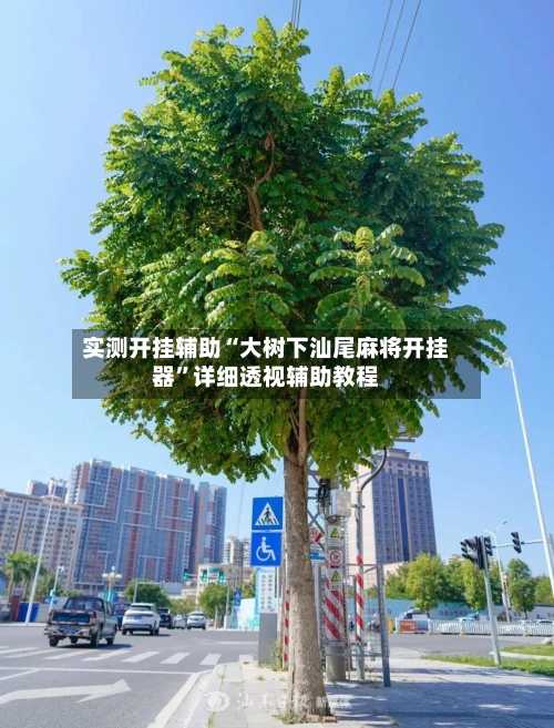 实测开挂辅助“大树下汕尾麻将开挂器	”详细透视辅助教程-第2张图片