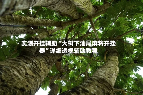 实测开挂辅助“大树下汕尾麻将开挂器”详细透视辅助教程