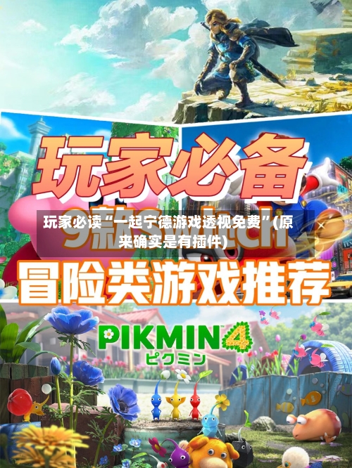 玩家必读“一起宁德游戏透视免费”(原来确实是有插件)-第1张图片