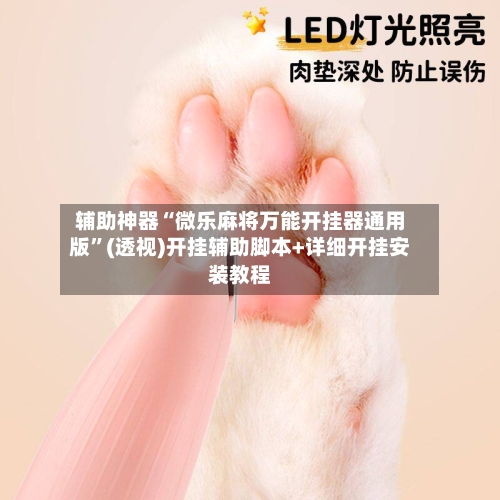 辅助神器“微乐麻将万能开挂器通用版”(透视)开挂辅助脚本+详细开挂安装教程-第2张图片