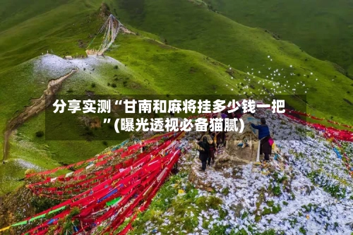 分享实测“甘南和麻将挂多少钱一把”(曝光透视必备猫腻)-第1张图片