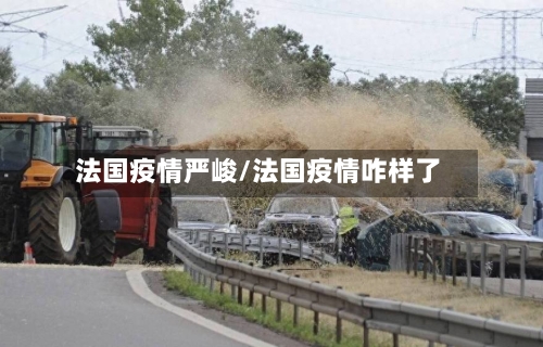 法国疫情严峻/法国疫情咋样了