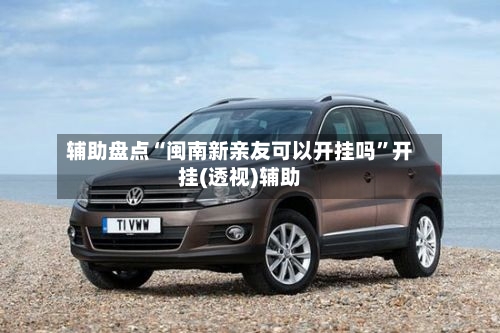 辅助盘点“闽南新亲友可以开挂吗”开挂(透视)辅助-第1张图片