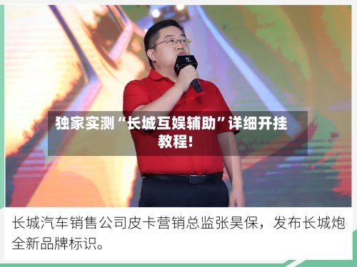 独家实测“长城互娱辅助”详细开挂教程!-第2张图片