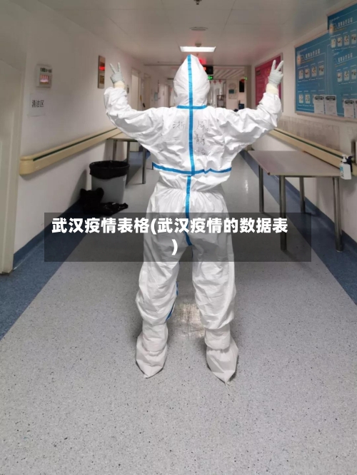 武汉疫情表格(武汉疫情的数据表)