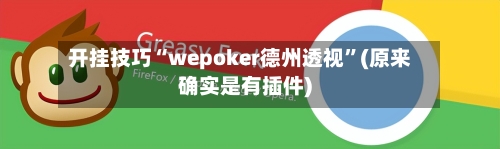 开挂技巧“wepoker德州透视”(原来确实是有插件)