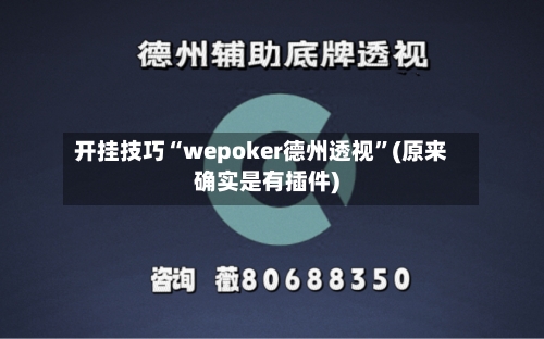 开挂技巧“wepoker德州透视”(原来确实是有插件)-第3张图片