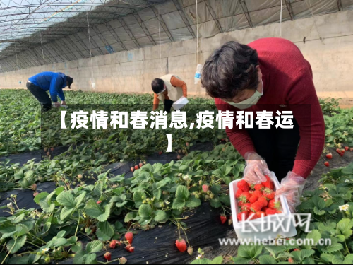 【疫情和春消息,疫情和春运】-第1张图片