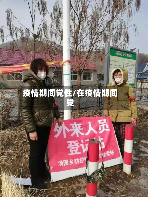 疫情期间党性/在疫情期间党-第1张图片