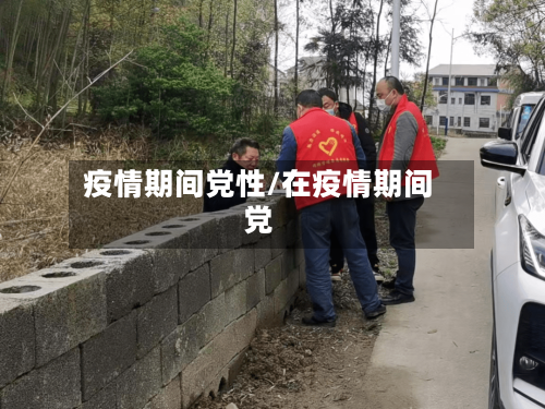 疫情期间党性/在疫情期间党-第2张图片