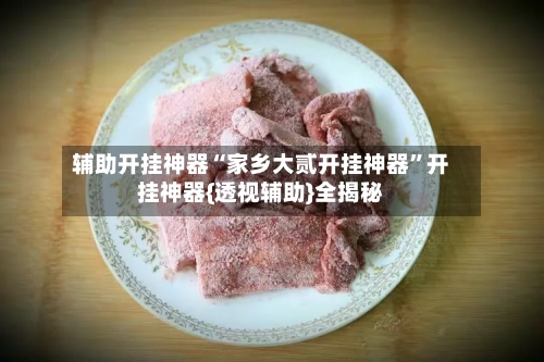 辅助开挂神器“家乡大贰开挂神器”开挂神器{透视辅助}全揭秘-第2张图片