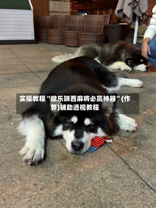 实操教程“微乐陕西麻将必赢神器”(作弊)辅助透视教程