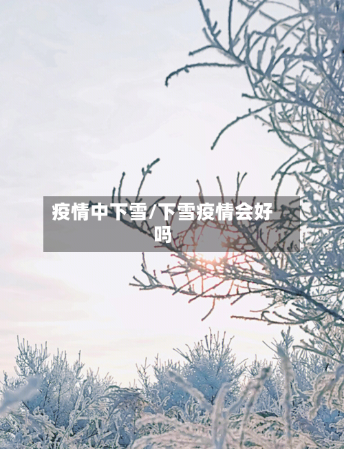 疫情中下雪/下雪疫情会好吗-第2张图片