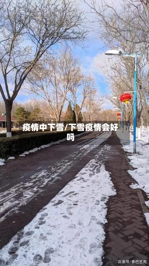 疫情中下雪/下雪疫情会好吗