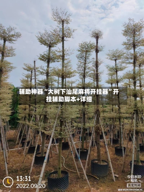 辅助神器“大树下汕尾麻将开挂器	”开挂辅助脚本+详细-第1张图片