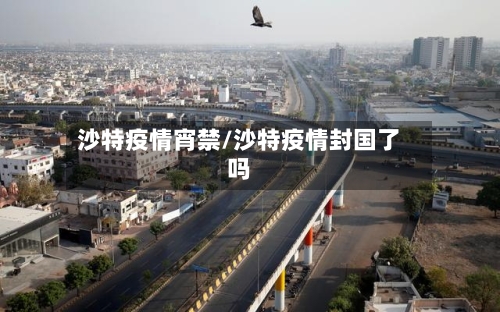 沙特疫情宵禁/沙特疫情封国了吗-第3张图片